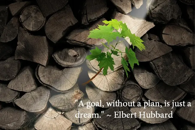"A goal, without a plan, is just a dream." ~ Elbert Hubbard