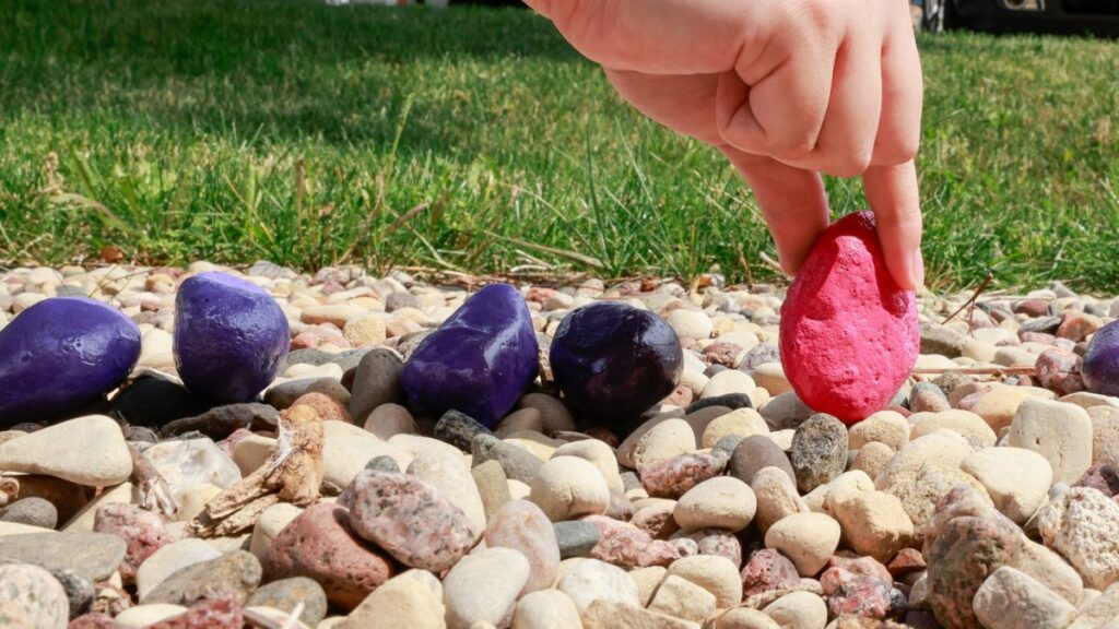 A hand picking up a pink rock among a series of purple rocks as concept for new customers vs. existing ones.